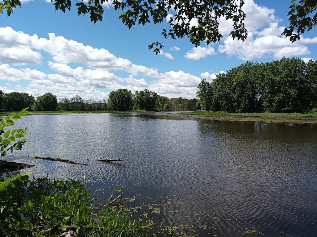 Petrie Island Beach | Parking lot, 795 Trim Rd, Orléans, ON K4A 3P4, Canada | Phone: (613) 580-2595