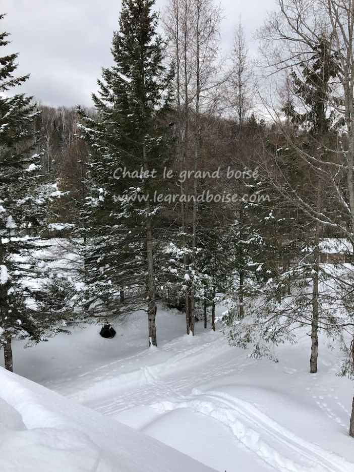 Chalet le grand boisé | 3140 Chemin des Monts, Chertsey, QC J0K 3K0, Canada | Phone: (514) 571-9644