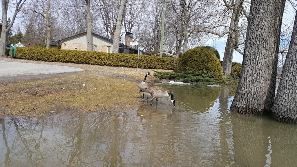 Cardinal Park | Rue Cardinal, LÎle-Bizard, QC H9E 1M9, Canada