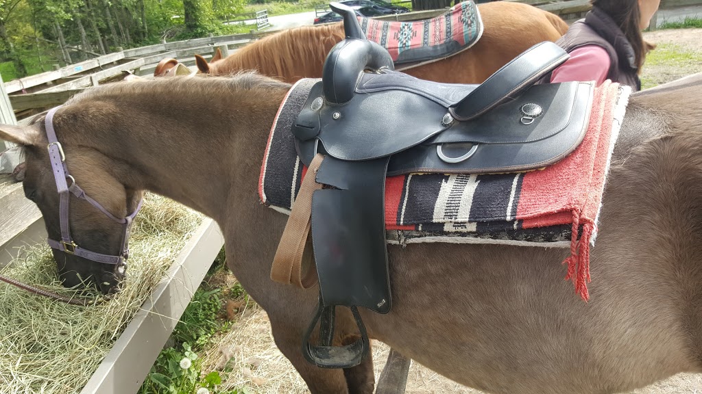 Langley 204 Horseback Riding | 543 204 St, Langley City, BC V2Z 1V5, Canada | Phone: (604) 533-7978