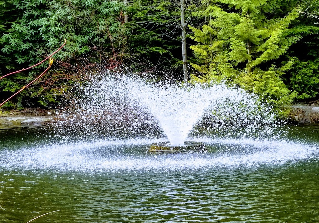 Tempe Heights Park | North Vancouver, BC V7N 4K3, Canada