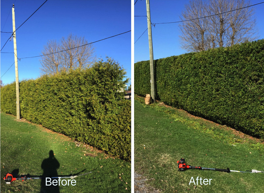 Robinson Lawn & Tree Maintenance | 1436 63 St NW, Edmonton, AB T6L 1X7, Canada | Phone: (780) 868-0135