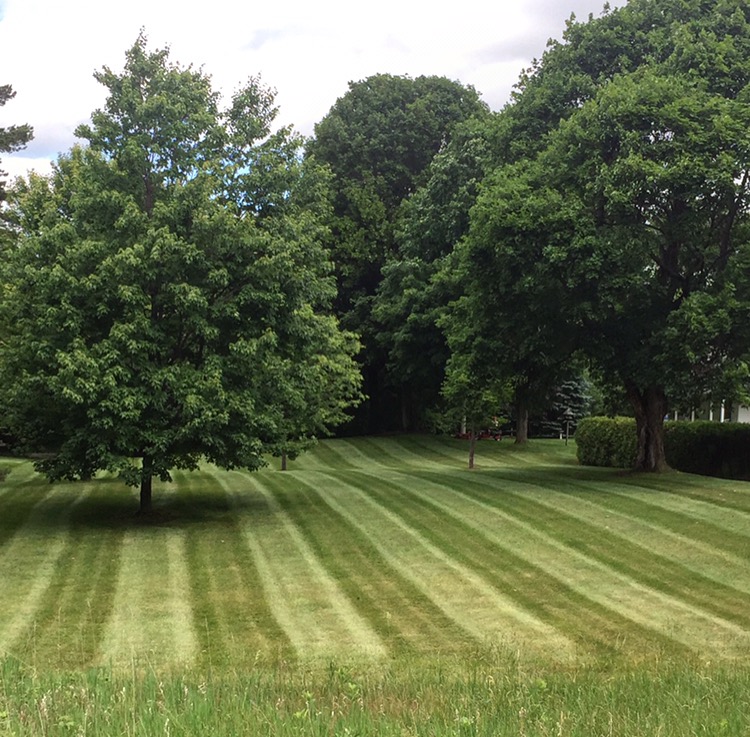 Lawnscape Property Maintenance | Durham Regional Rd 8, Uxbridge, ON L9P 1R1, Canada | Phone: (905) 852-4378