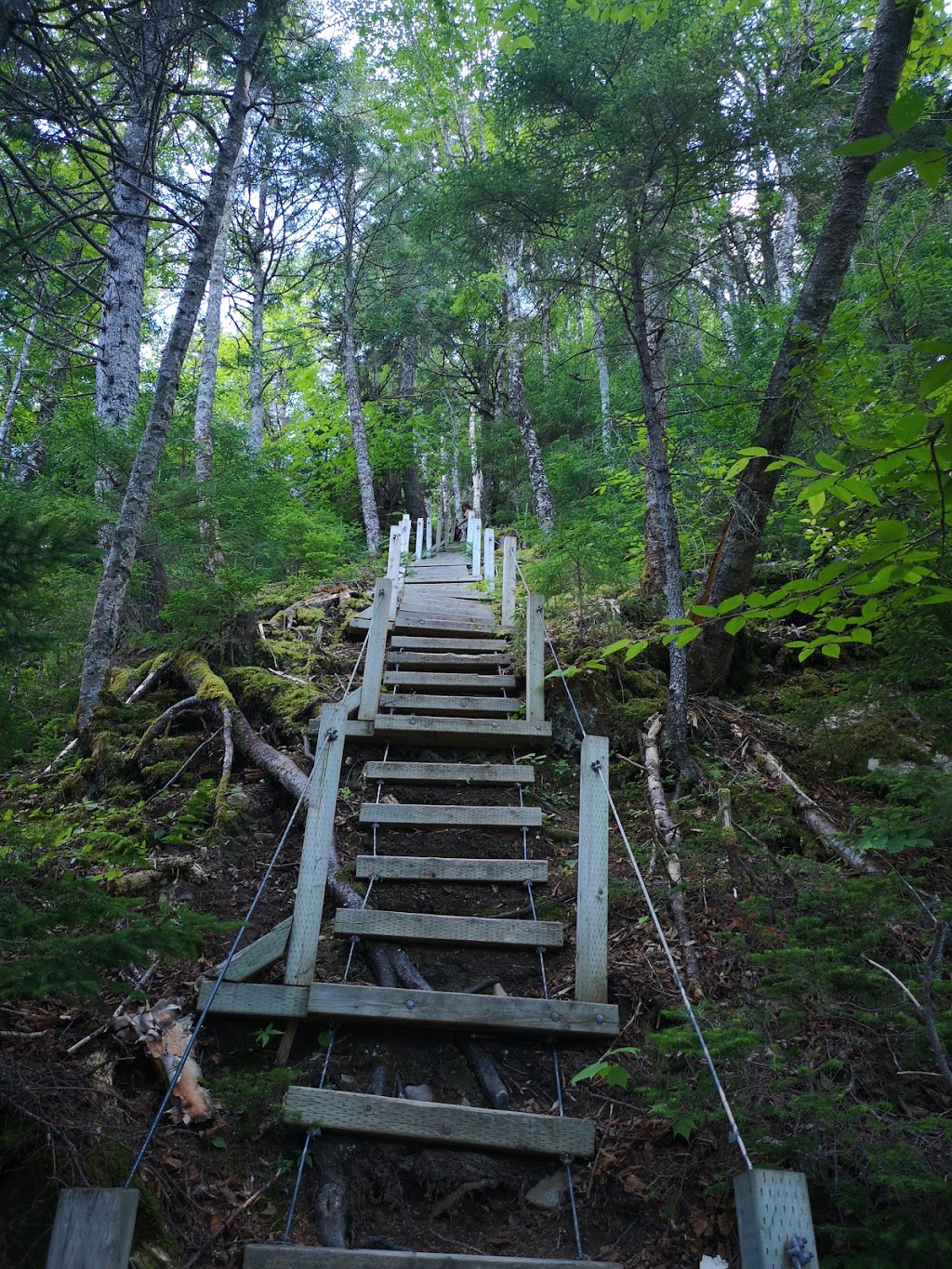 Fundy Trail Parkway West Kiosk | 3 Fundy Trail Pkwy, Salmon River, NB E5R 0B3, Canada | Phone: (506) 833-2019