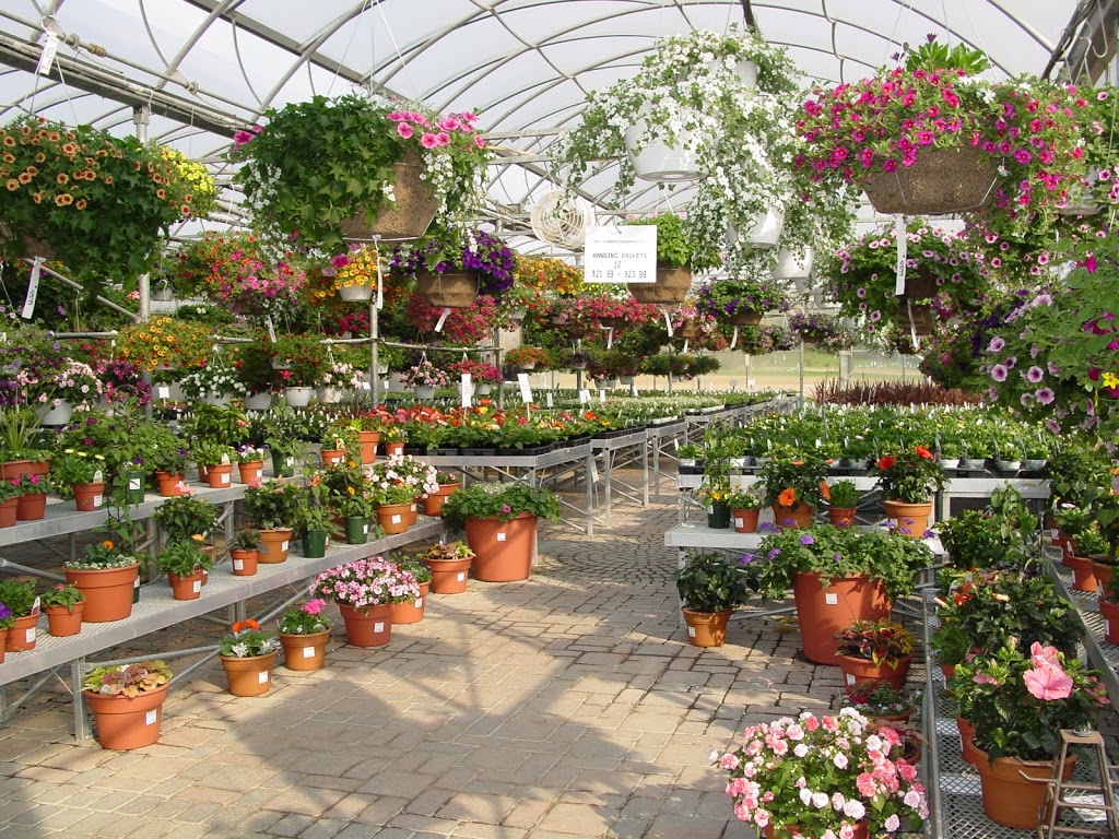 Watermans Greenhouse | 12317 Vaughn St, East Concord, NY 14055, USA | Phone: (716) 592-9186