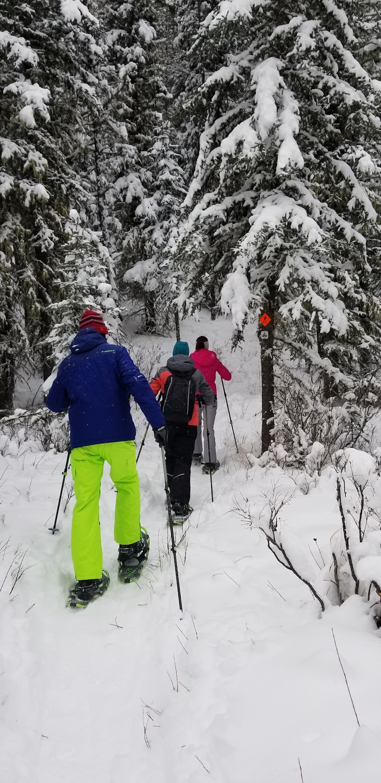 West Bragg Creek Day Use Area | Kananaskis, AB T0L 0K0, Canada