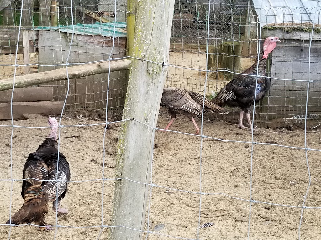 La Ferme Du Pêché Mignon | 110 1er Rang, Saint-Romain, QC G0Y 1L0, Canada | Phone: (418) 486-2451