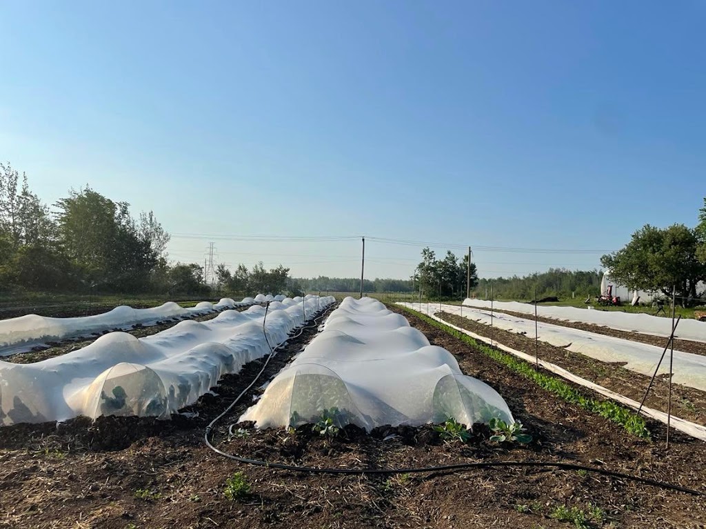 Ferme la terre entière | 1451 Chem. dAnjou, Boucherville, QC J4B 5E4, Canada | Phone: (438) 394-5227