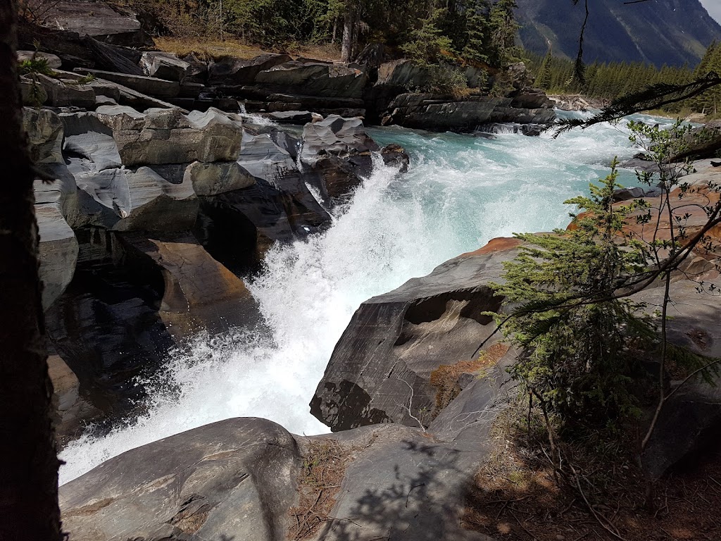 Numa Creek | Kootenay National Park, Numa Creek Trail, Spillimacheen, BC V0A 1J0, Canada | Phone: (250) 347-9505