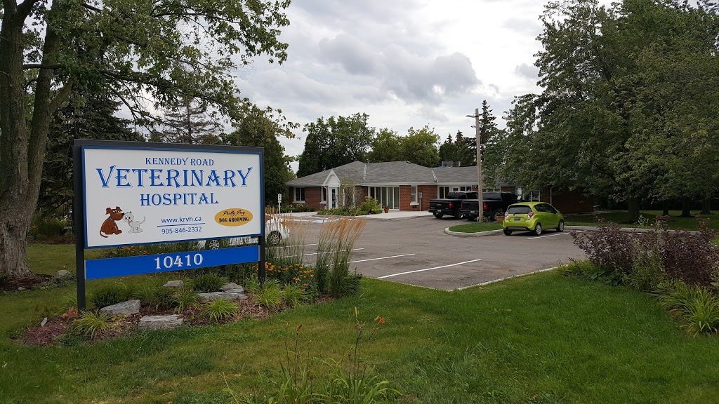 Kennedy Rd Veterinary Hospital | 10410 Kennedy Rd N, Brampton, ON L6Z 0A7, Canada | Phone: (905) 846-2332