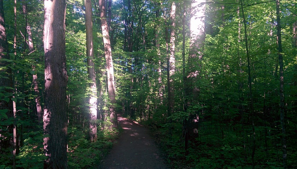 Monk Environmental Park | South March, Ottawa, ON K2K 1X7, Canada