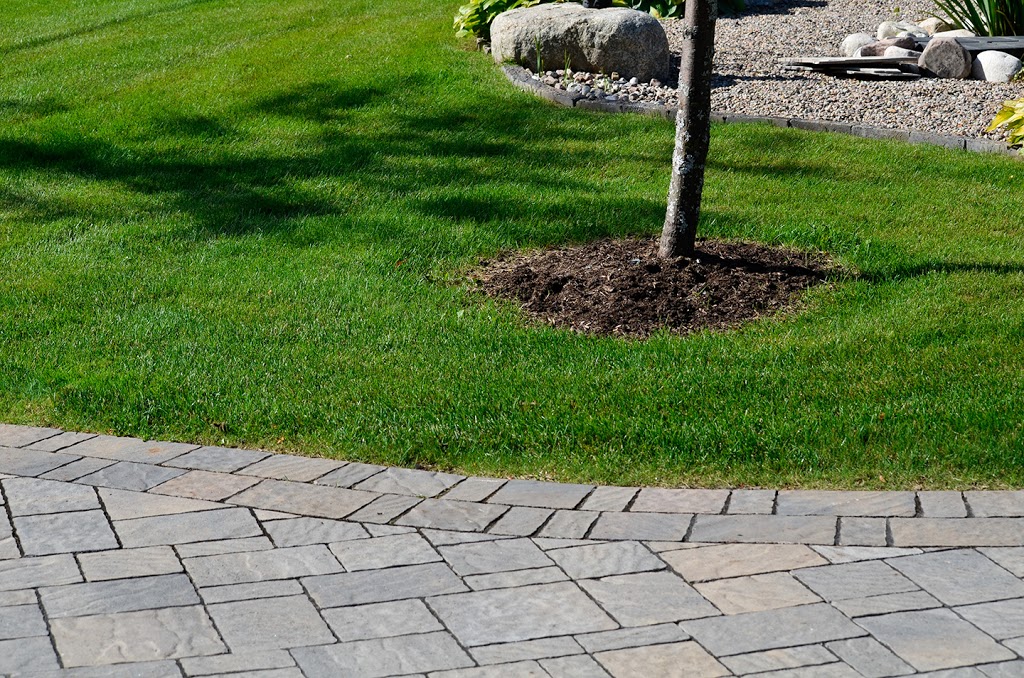 National Capital Irrigation & Hydroseeding Inc. | 18 Lytle Ave, Ottawa, ON K2R 1E5, Canada | Phone: (613) 282-9384