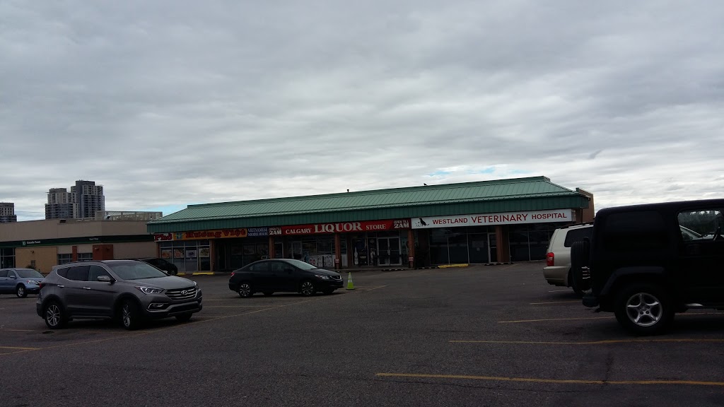 Shaganappi Grocery Store | 3919 17 Ave SW, Calgary, AB T3C 1J7, Canada | Phone: (403) 249-4200