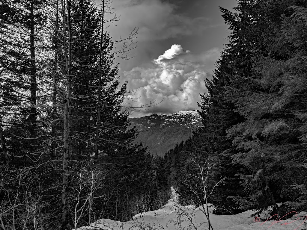 Skyline Ridge Trail | Unnamed Road, Britannia Beach, BC V0N 1J0, Canada