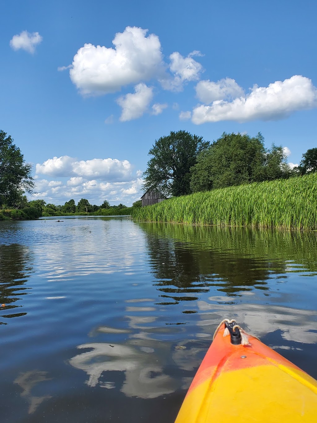 Kayak Safari | 2 Rue Henderson, Huntingdon, QC J0S 1H0, Canada | Phone: (866) 664-0111