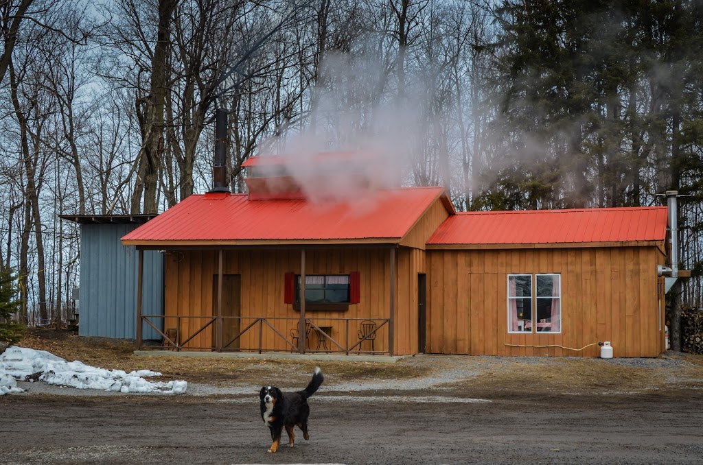 Érablière Maxime | 226 Chemin Saint-Louis, Saint-Stanislas-de-Kostka, QC J0S 1W0, Canada | Phone: (514) 914-7119