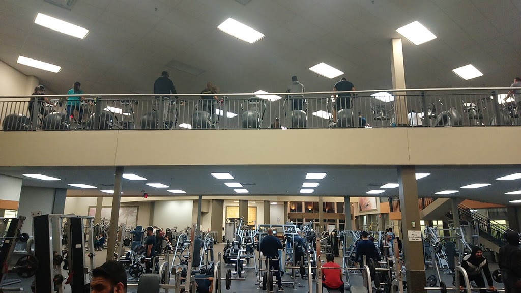 LA Fitness | 2959 Bovaird Dr E, Brampton, ON L6S 0C6, Canada | Phone: (905) 789-6257