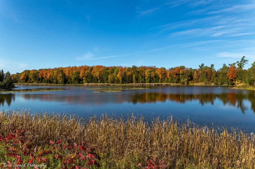 Gannons Narrows Conservation Area | Selwyn, 6X, Peterborough, ON K0L 2J0, Canada | Phone: (705) 745-5791