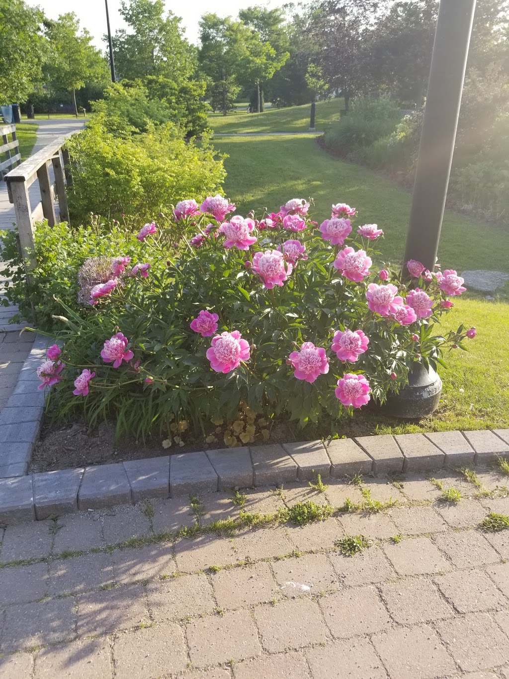 Dominion Gardens Park | 118 Guelph St, Georgetown, ON L7G 4A3, Canada