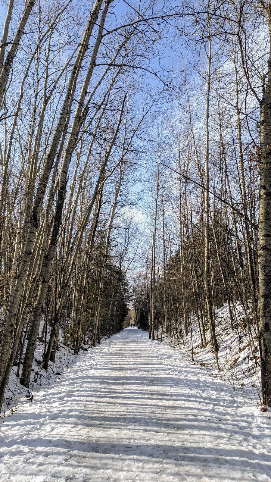 Caledon Trailway, start of the trail | Caledon Trailway Path, Caledon, ON L0P 1N0, Canada | Phone: (905) 584-2272 ext. 4235