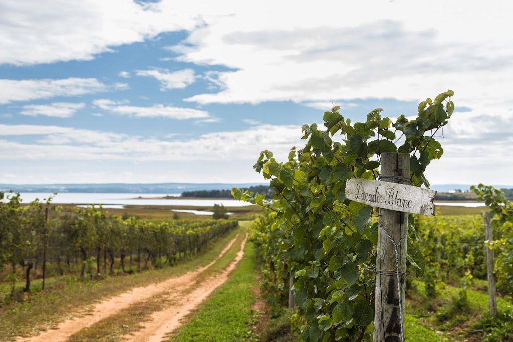 Blomidon Estate Winery | 10318 NS-221, Canning, NS B0P 1H0, Canada | Phone: (902) 582-7565