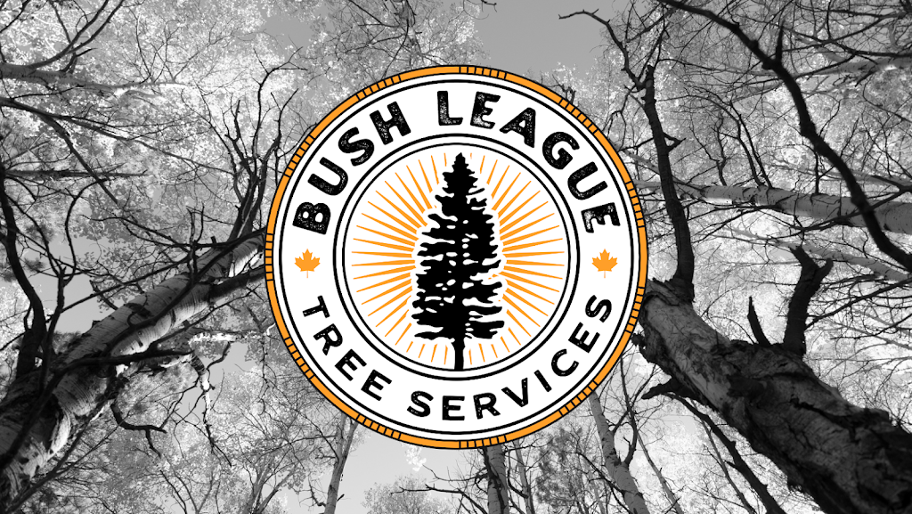 Bush League Tree Services | 173556 Mulock Rd, Hanover, ON N4N 3B9, Canada | Phone: (519) 591-9665