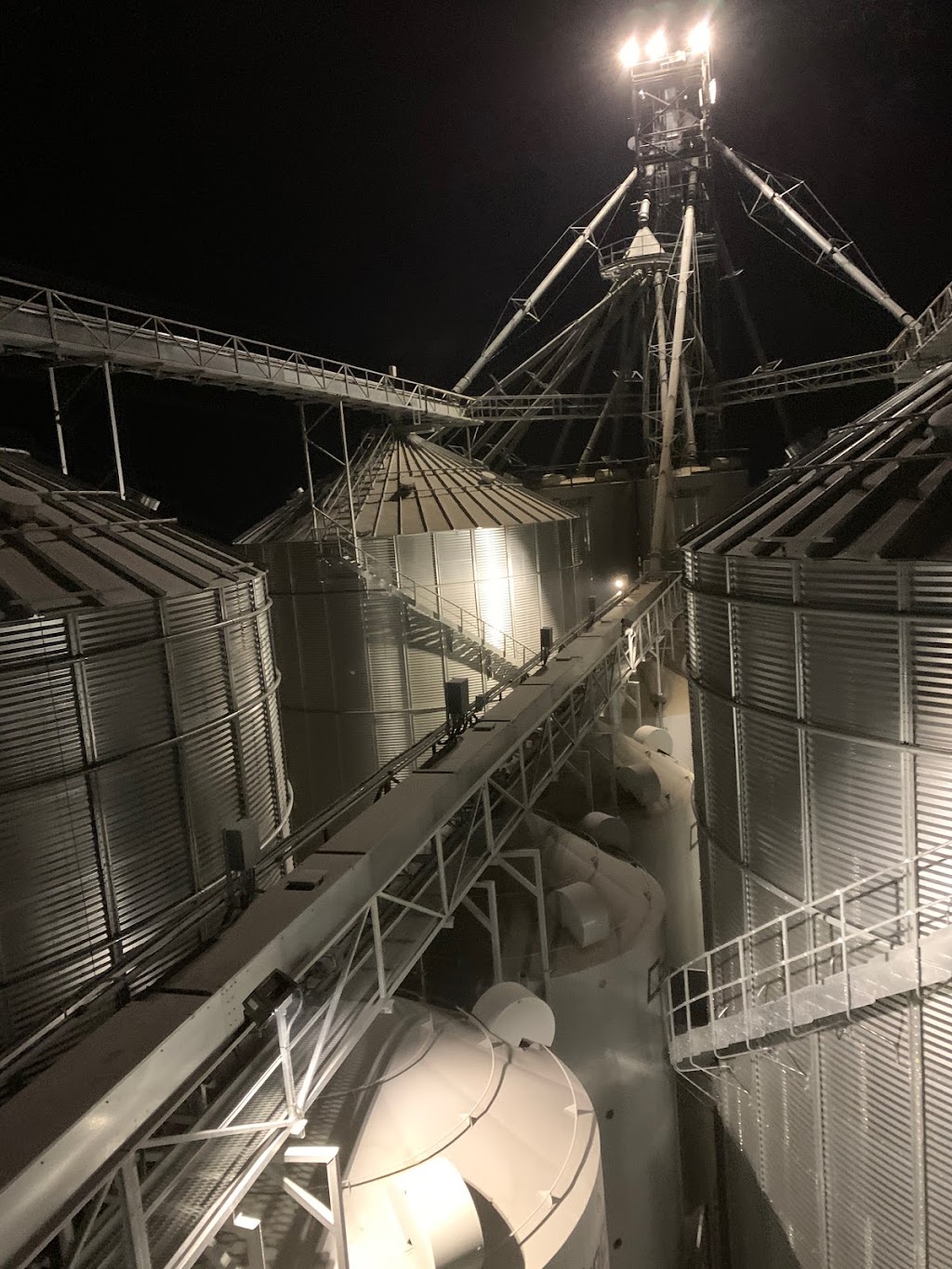 Alberta Feed Grain | 1402 HWY 654, Highridge, AB T0G 1W0, Canada | Phone: (888) 483-8789