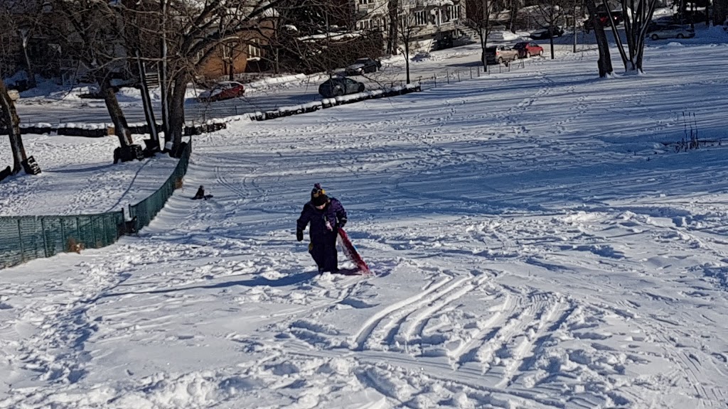 Parc Francesca-Cabrini | Rue de Cadillac, Montréal, QC H1T 3S4, Canada | Phone: (514) 872-0311