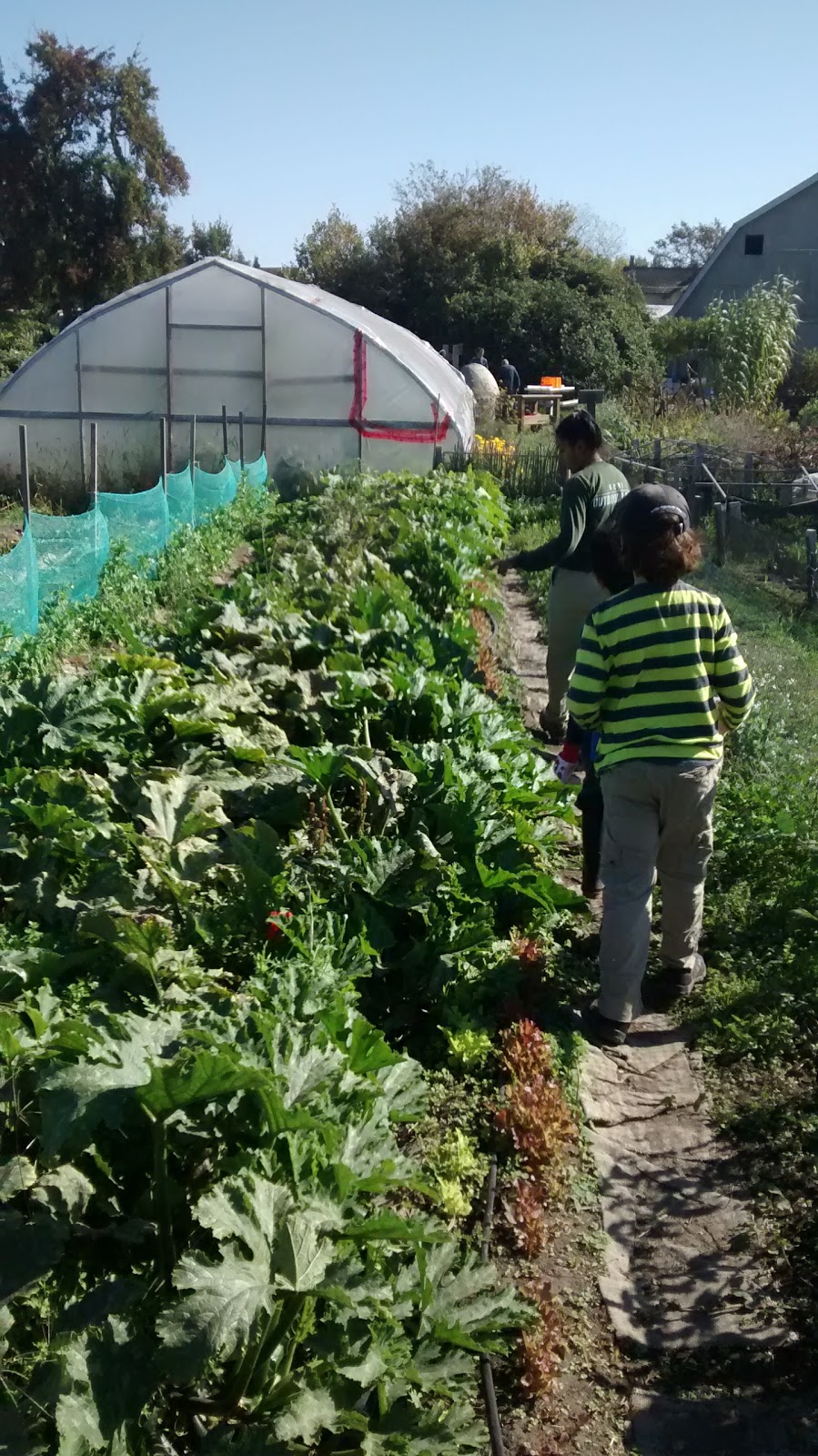 Earthwise Society Demonstration Garden and Farm | 6400 3 Ave, Delta, BC V4L 1B1, Canada | Phone: (604) 946-9828