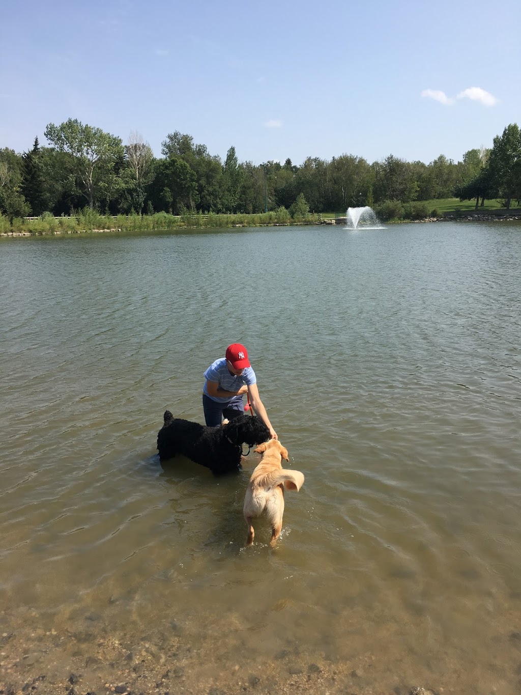 Lacombe Lake Dog Park | 151 McKenney Ave, St. Albert, AB T8N 2T7, Canada | Phone: (780) 458-7700