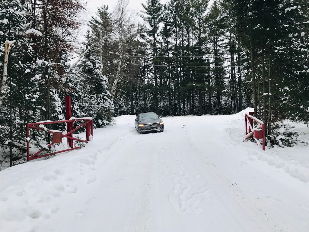 Moose Bog Trail lot | 05846 VT-105, Island Pond, VT 05846, USA