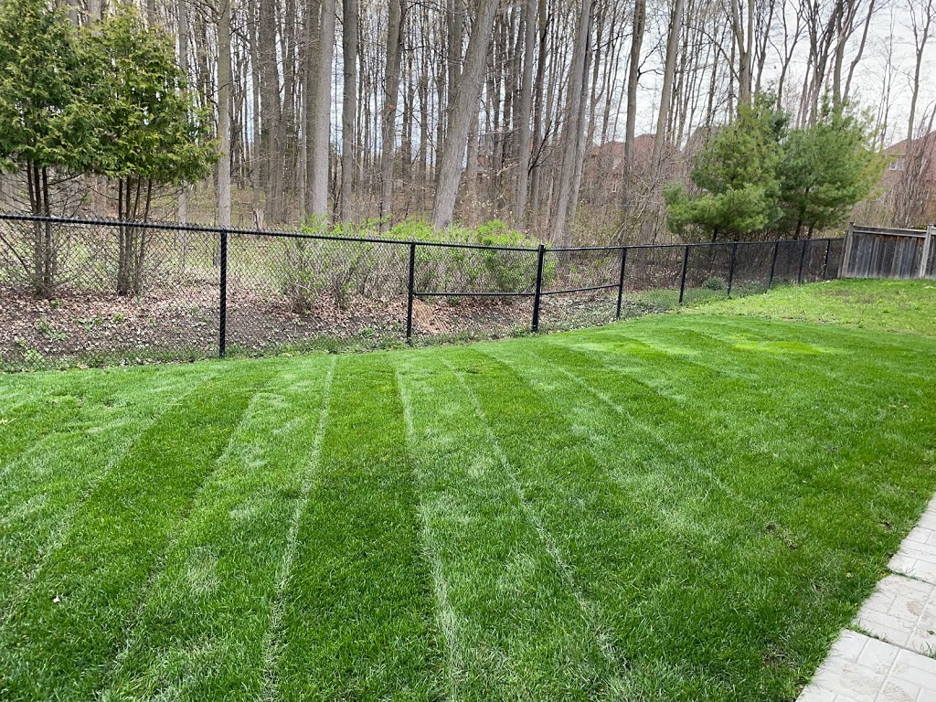 COBRAN LAWN CARE | 174 Beattie Ave, Alliston, ON L9R 1C1, Canada | Phone: (705) 796-6931