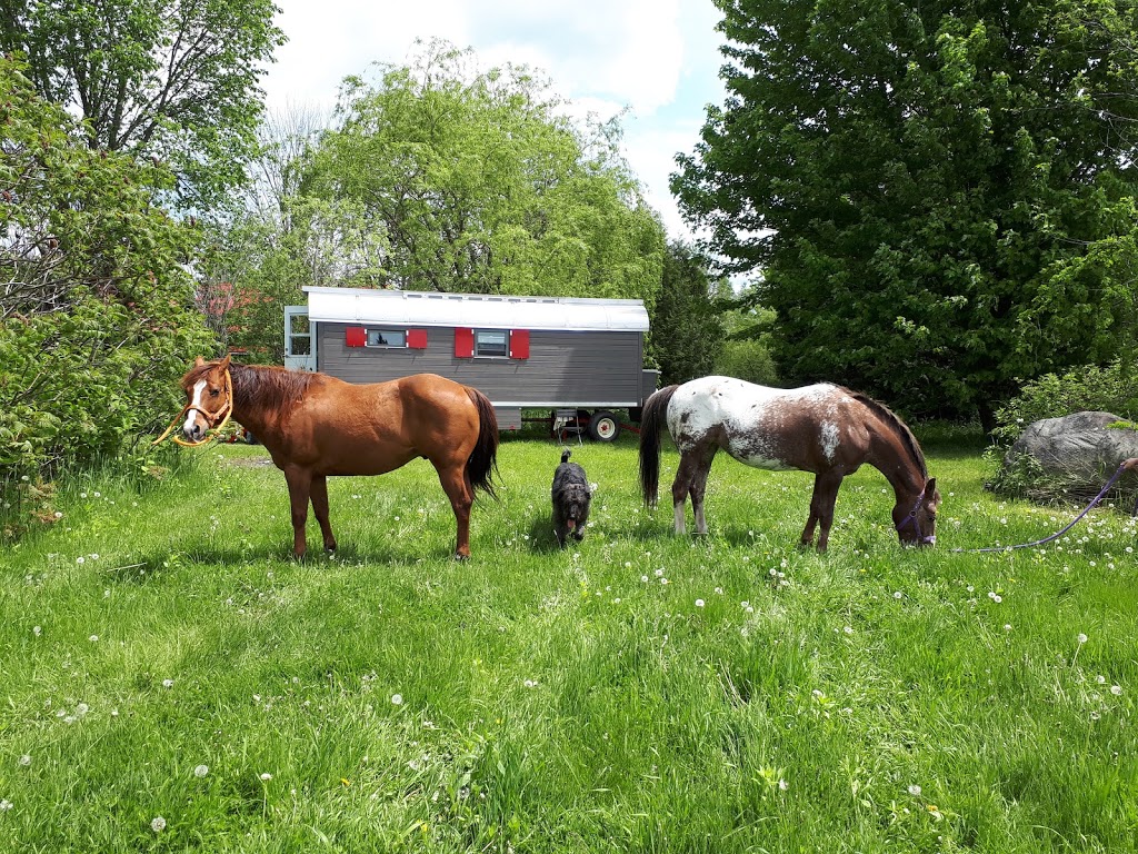 Atelier FRANCOIS BEROUD WAGON-GITANE expo | 209 Chemin de Béthanie, Béthanie, QC J0E 2L1, Canada | Phone: (514) 972-6789