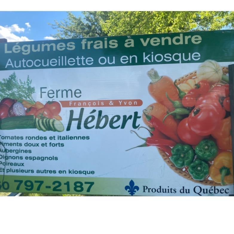 Jardin maraîcher F.Hebert | 515 Rang du Haut Corbin, Saint-Damase, QC J0H 1J0, Canada | Phone: (450) 797-2187