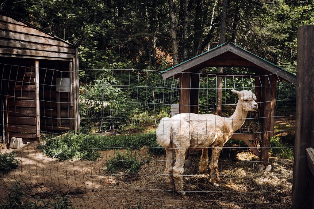 Pourvoirie Domaine Bazinet | 3000 Chemin Bazinet, Sainte-Émélie-de-lÉnergie, QC J0K 2K0, Canada | Phone: (450) 886-4444