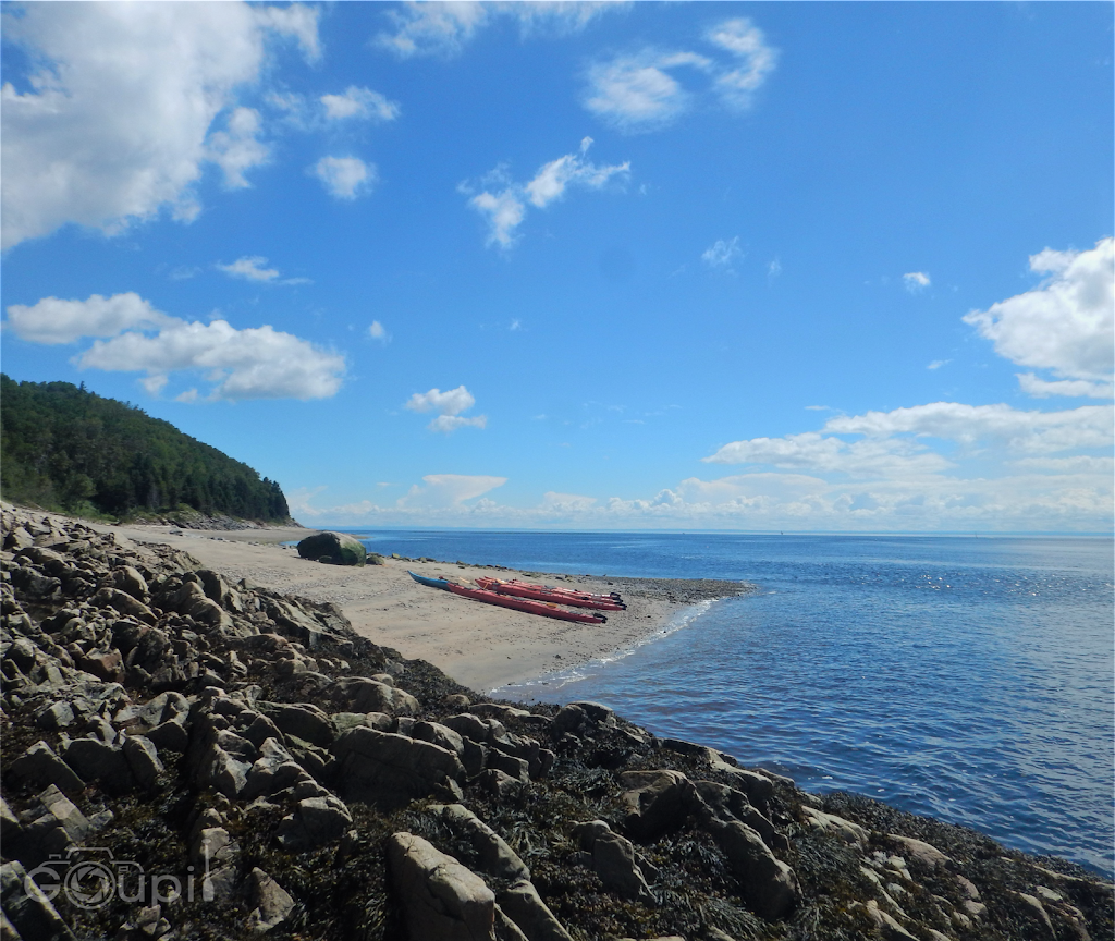 Tadoussac Autrement - Kayak de mer | 145 Rue du Bord de lEau, Tadoussac, QC G0T 2A0, Canada | Phone: (418) 355-4305