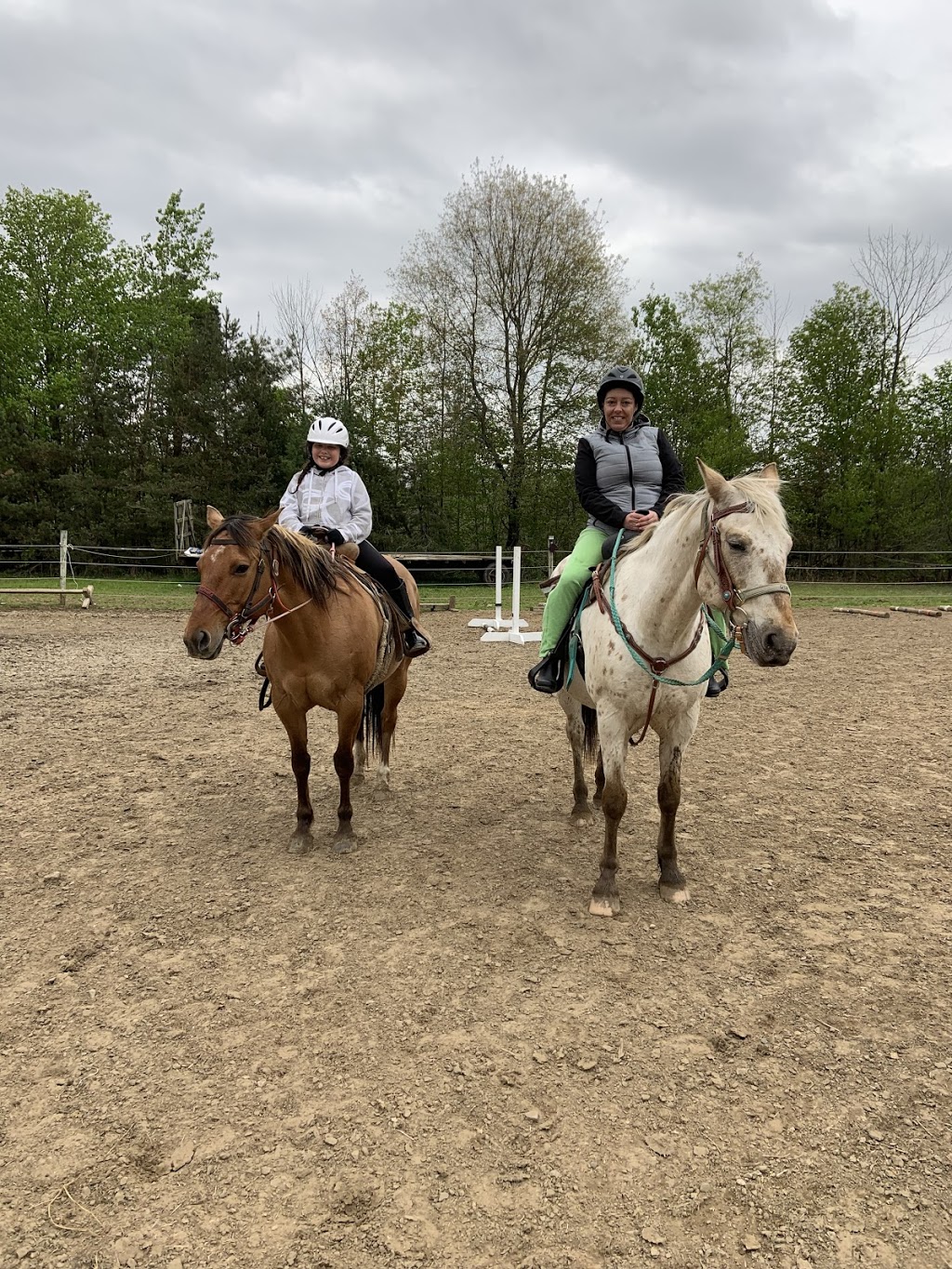 Darkin Riding Stables | 6253 Brown Rd, Port Burwell, ON N0J 1T0, Canada | Phone: (519) 280-1819