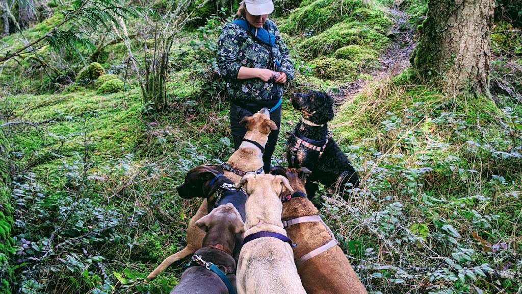 Sniffing Daisies Canine Care | 2911 Sooke Lake Rd, Victoria, BC V9B 4R6, Canada | Phone: (250) 889-2970