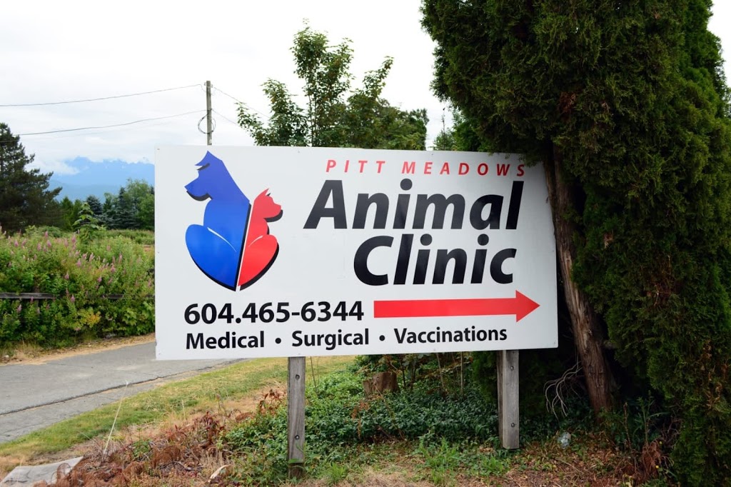 Pitt Meadows Animal Clinic | 19227 Lougheed Hwy, Pitt Meadows, BC V3Y 2J5, Canada | Phone: (604) 465-6344