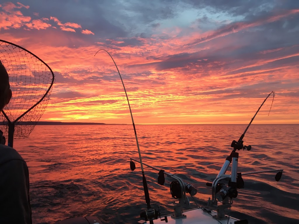 Reel Em In Fishing Charters | 41 Bruce St N, Thornbury, ON N0H 2P0, Canada | Phone: (519) 535-4665