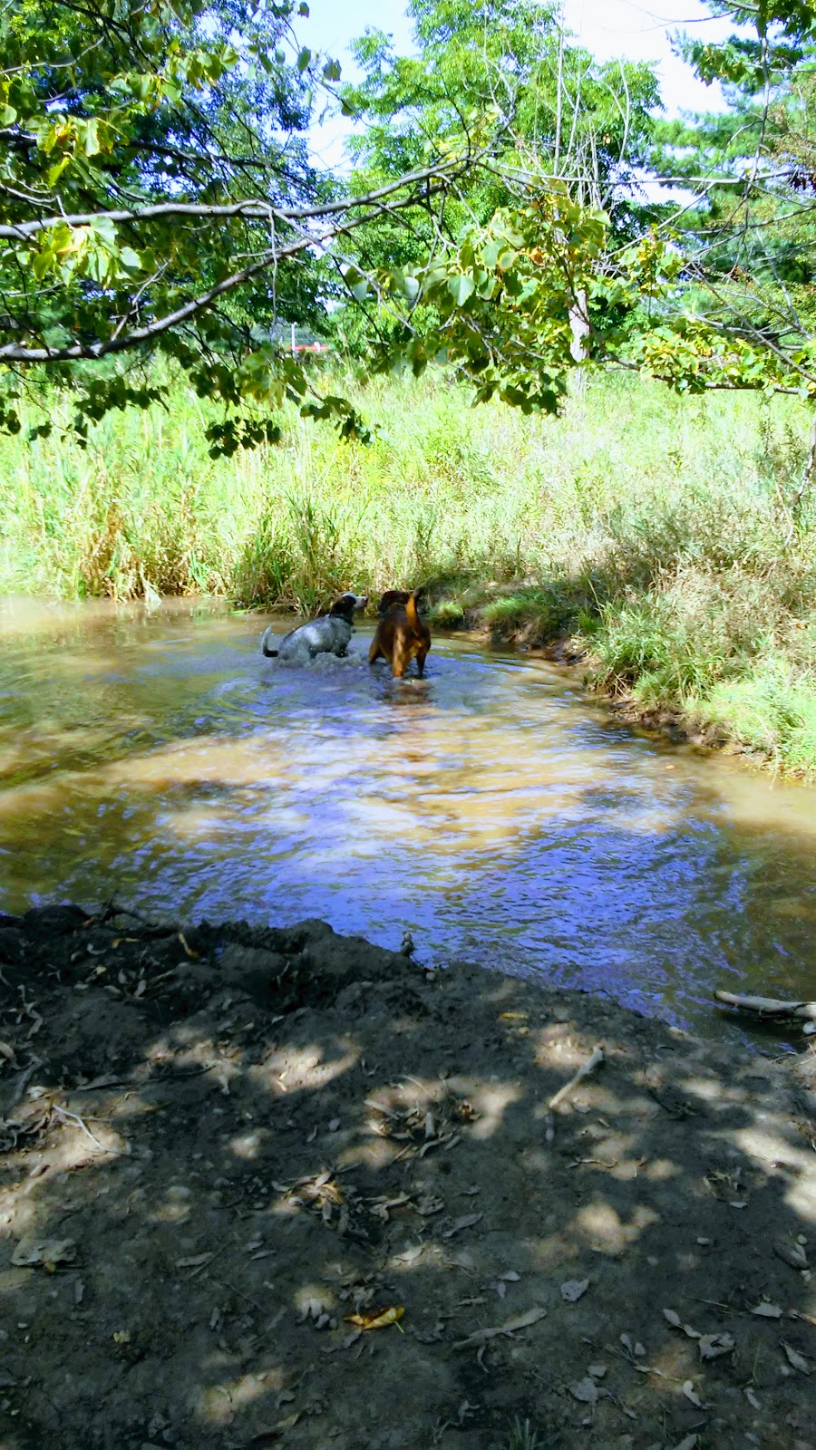 Bronte Creek Provincial Park (Day use Entrance) | 1219 Burloak Dr, Oakville, ON L6M 4J7, Canada | Phone: (905) 827-6911