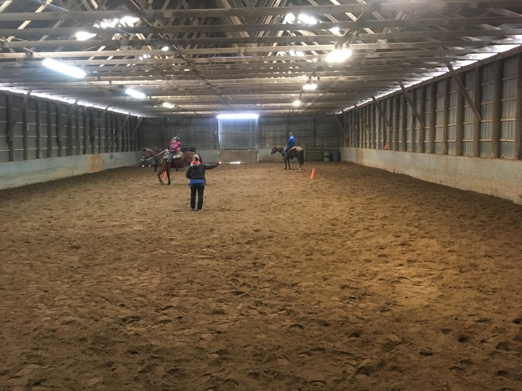 Martine St-George Équitation Et Entraînement | Saint-Athanase, QC J2X 4J2, Canada | Phone: (514) 605-8121