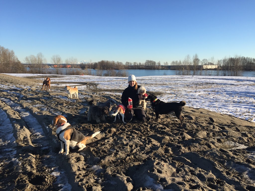 Richmond Dog Walking | 6077 London Rd, Richmond, BC V7E 6V5, Canada | Phone: (604) 783-0332