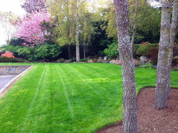 VI Landscaping | 776 Murphy Pl, Victoria, BC V8Y 3H4, Canada | Phone: (250) 893-5445