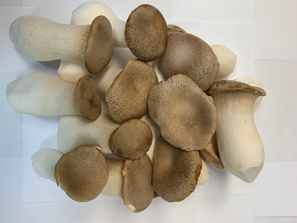 Unionville Mushroms far | 5395 19th Ave, Markham, ON L3P 3J3, Canada | Phone: (905) 640-2892