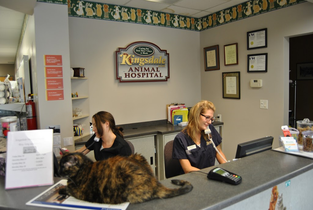 Kingsdale Animal Hospital | 2848 King St E, Kitchener, ON N2A 1A5, Canada | Phone: (519) 896-0532