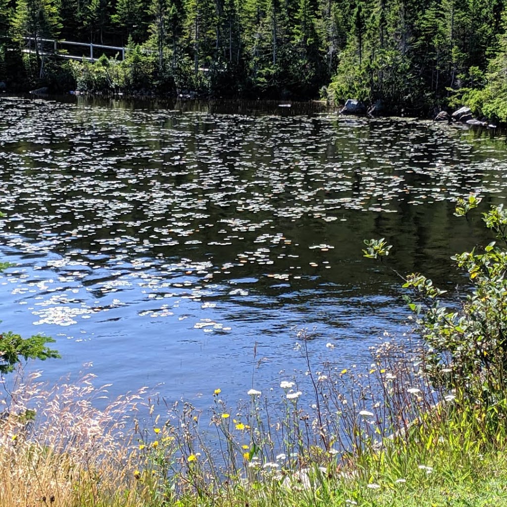 Outside Pond RV Park | Winterton, NL A0B 3M0, Canada | Phone: (709) 583-2880