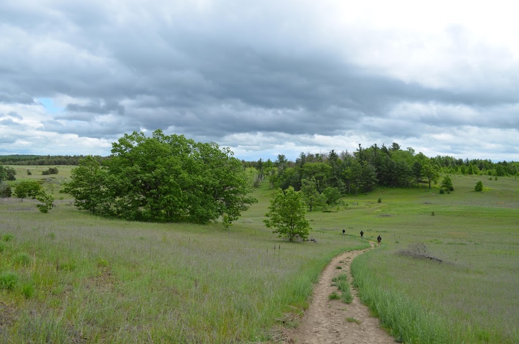 Hazel Bird Nature Reserve | 9636 Beavermeadow Rd E, Baltimore, ON K0K 1C0, Canada | Phone: (800) 465-0029