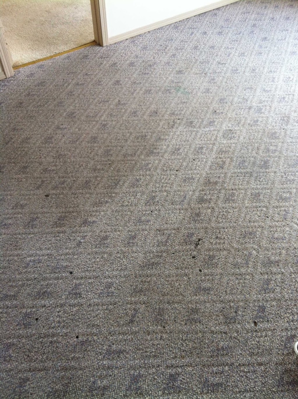 Ecodry Carpet and Upholstery Carpet Cleaning | 363 Norton St, Penticton, BC V2A 4H9, Canada | Phone: (250) 486-2063