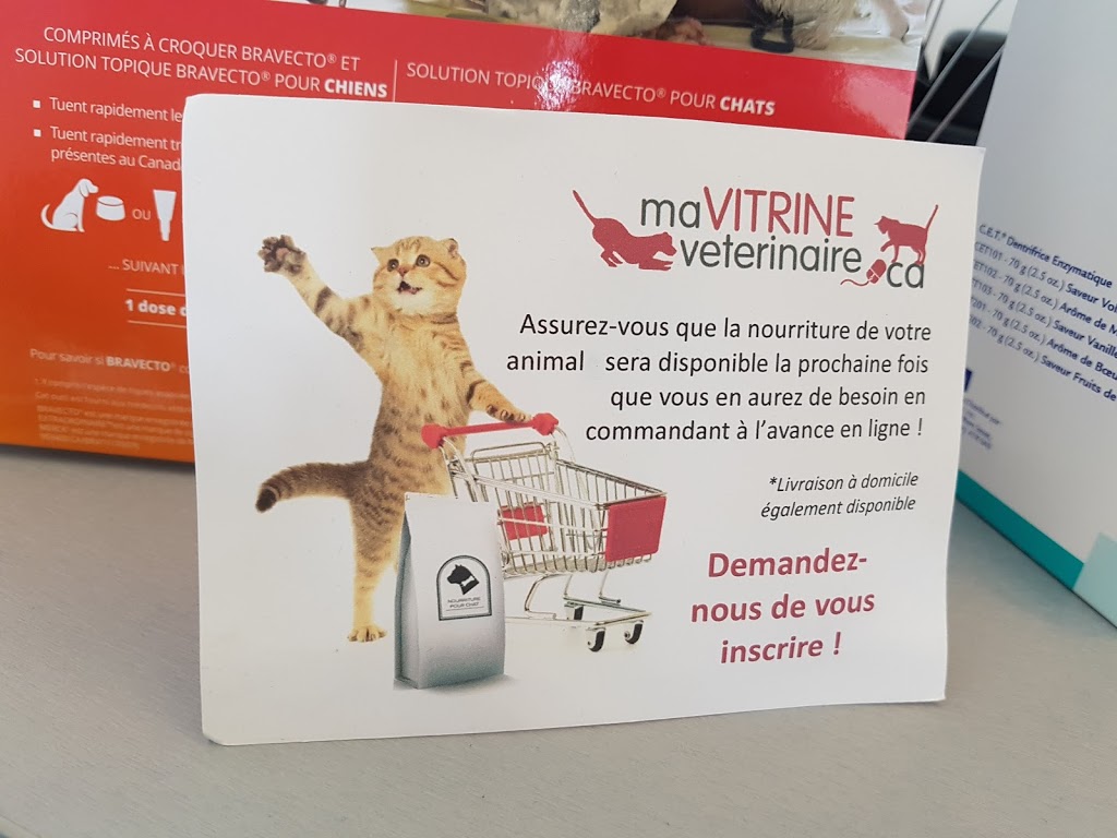 Clinique Vétérinaire Quartier DIX30 | 9840 Boulevard Leduc, Brossard, QC J4Y 0B4, Canada | Phone: (450) 812-8483